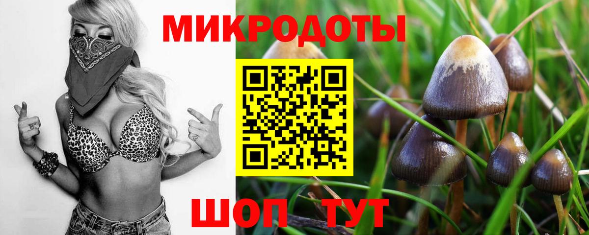 Псилоцибиновые грибы Magic Shrooms  Вход с VPN  даркнет сайт  Зеленокумск 